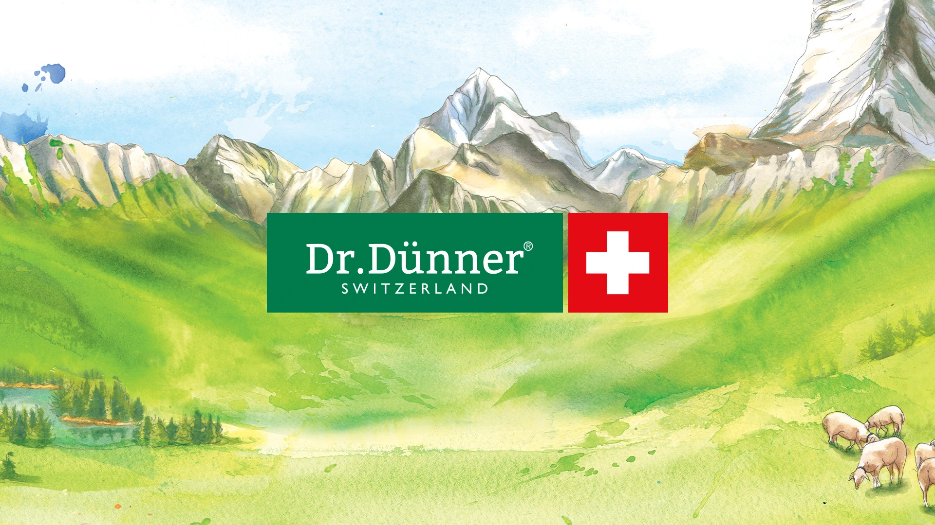 Dr Dunner