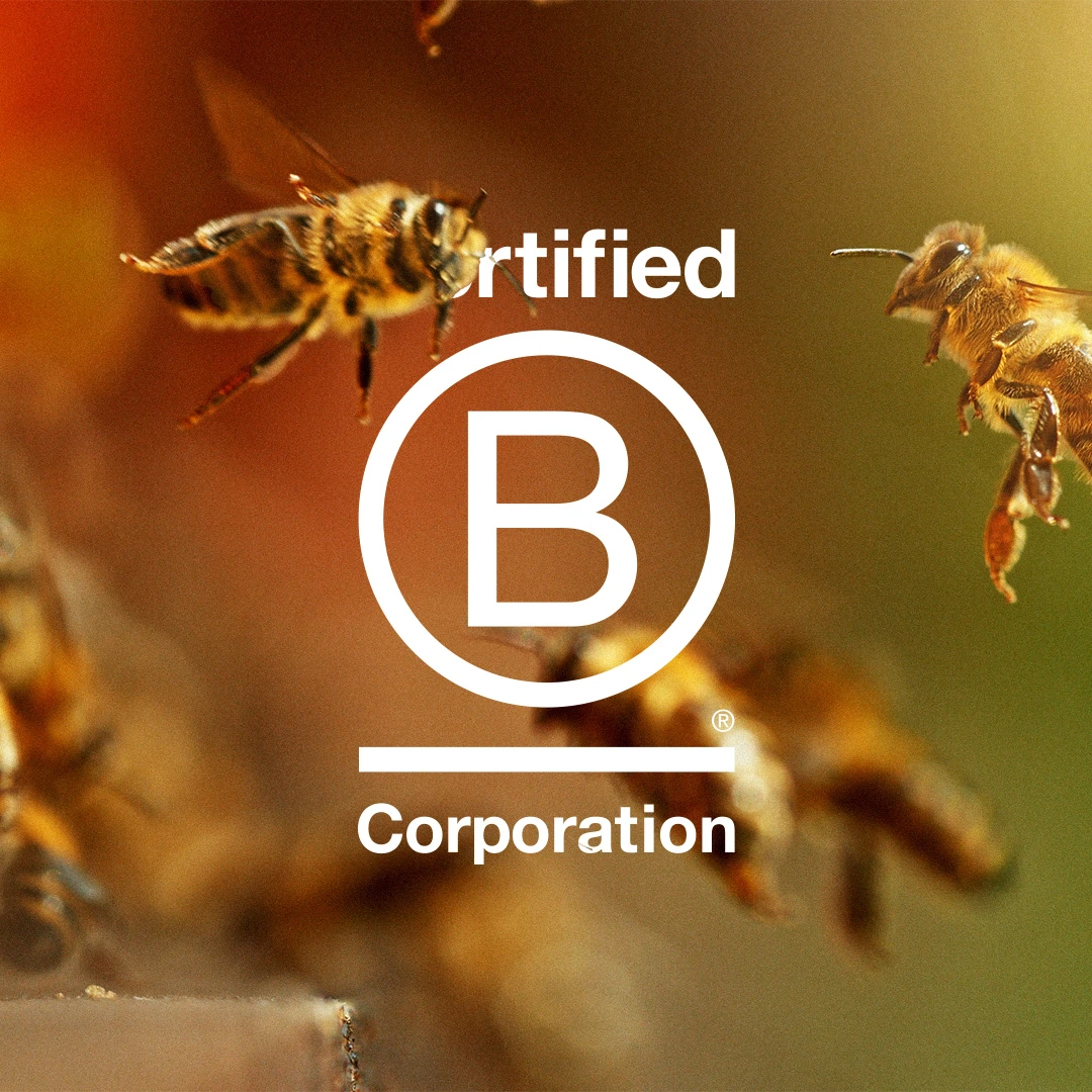 Certified B Corporation logo over close-up of honeybees