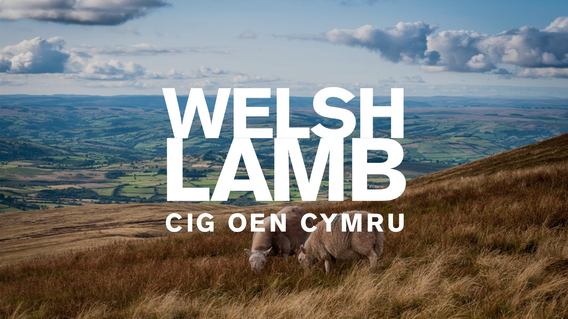 Welsh Lamb Post Thumbnail