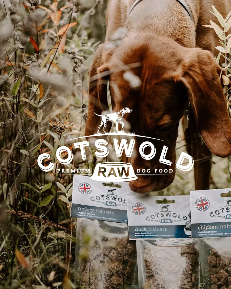 Cotswold RAW dog food packs with a dog among wild grasses