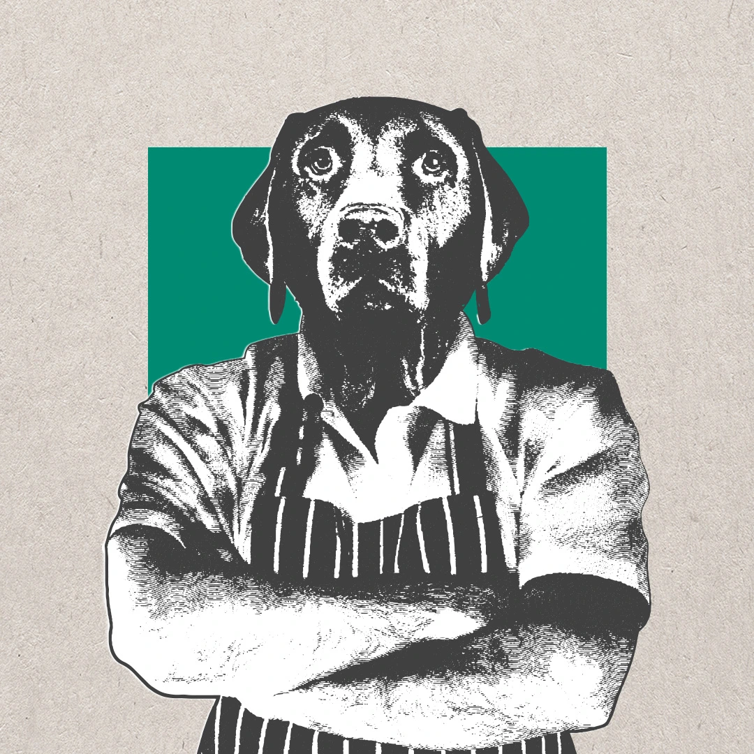 Cotswold Raw illustration of a dog in a butcher's apron with arms folded