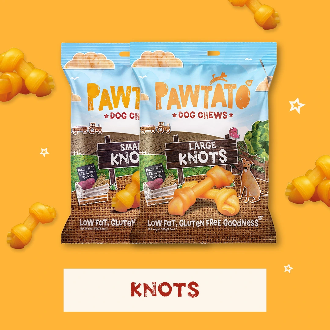 Pawtato Knots dog chew packs on an orange background