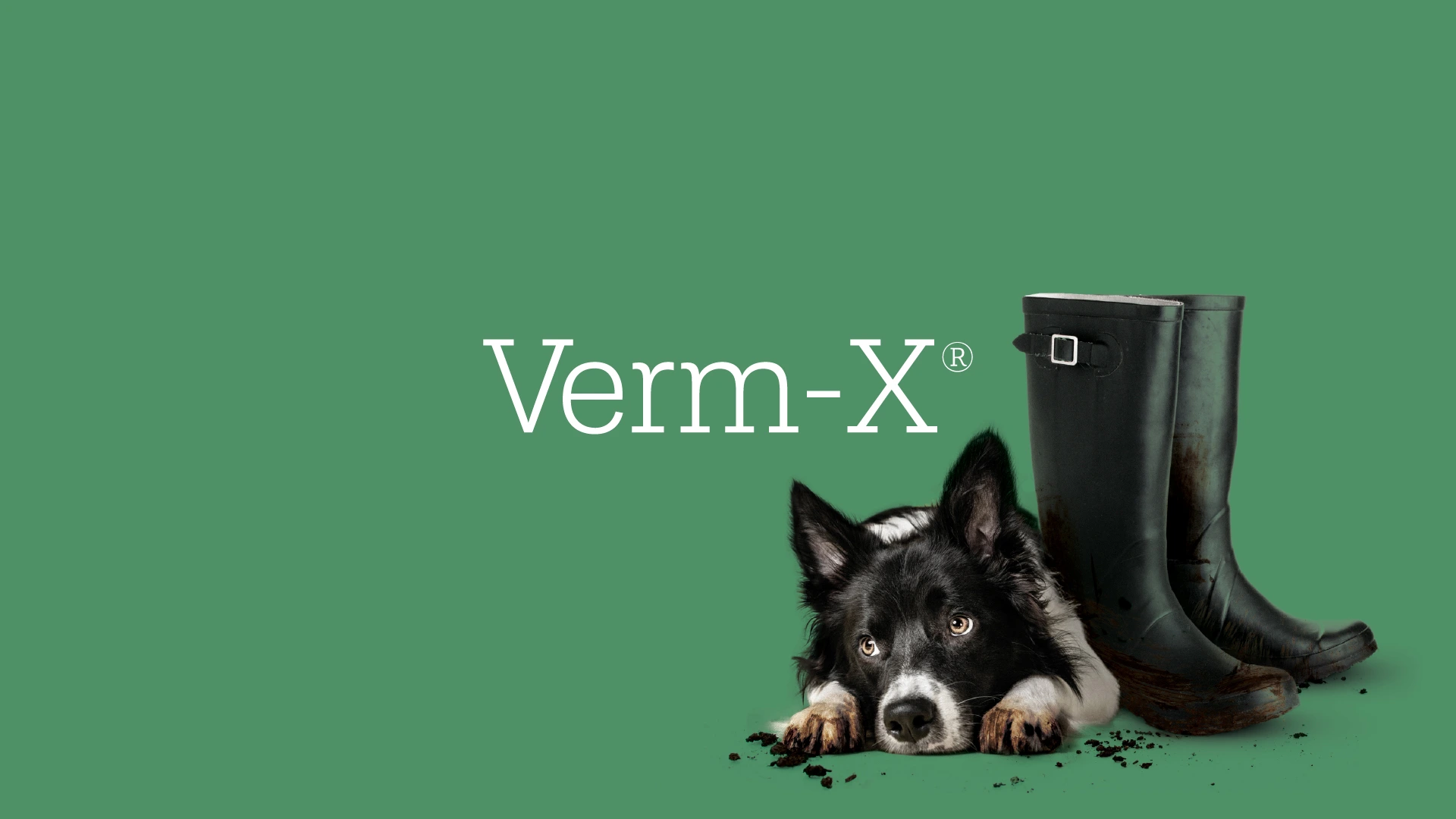 Verm-X