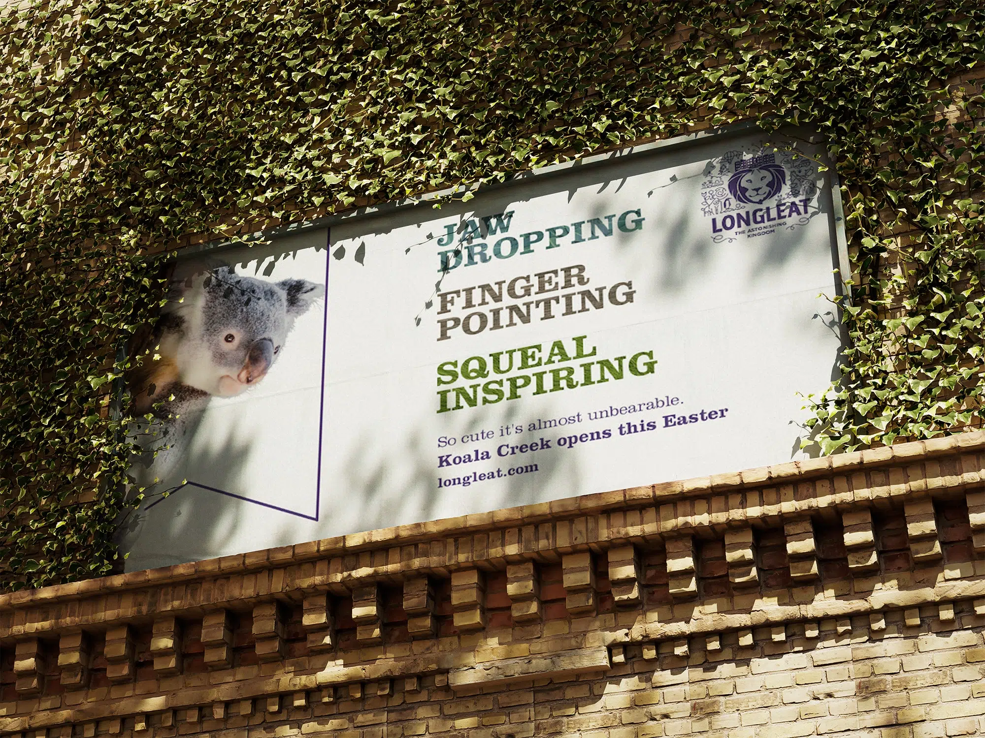 Longleat koala billboard framed by ivy on a wall