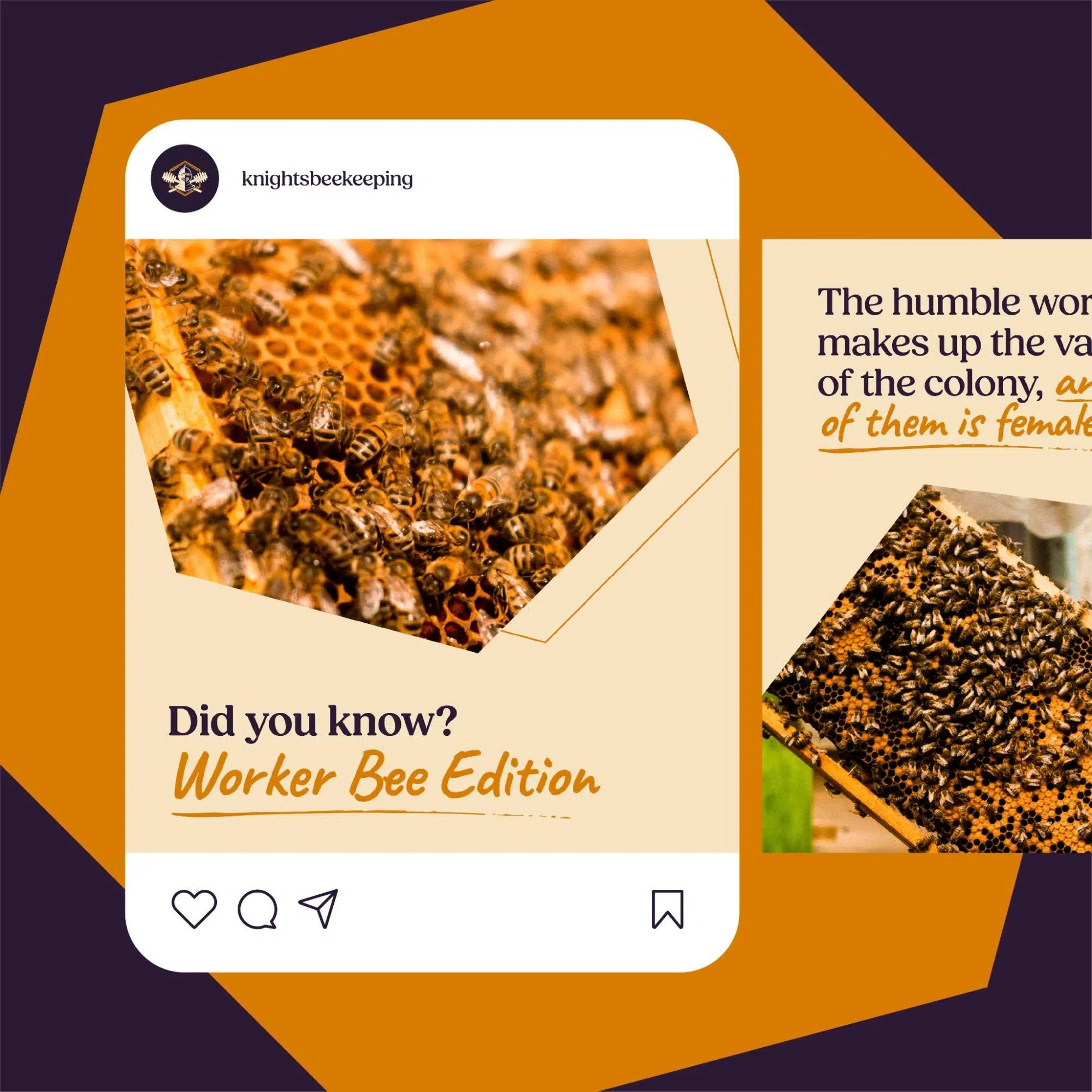 Beekeeping social post "Did you know? Worker Bee Edition"